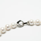 Australian Natural Saltwater Pearls